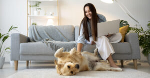 Pets Featured Image