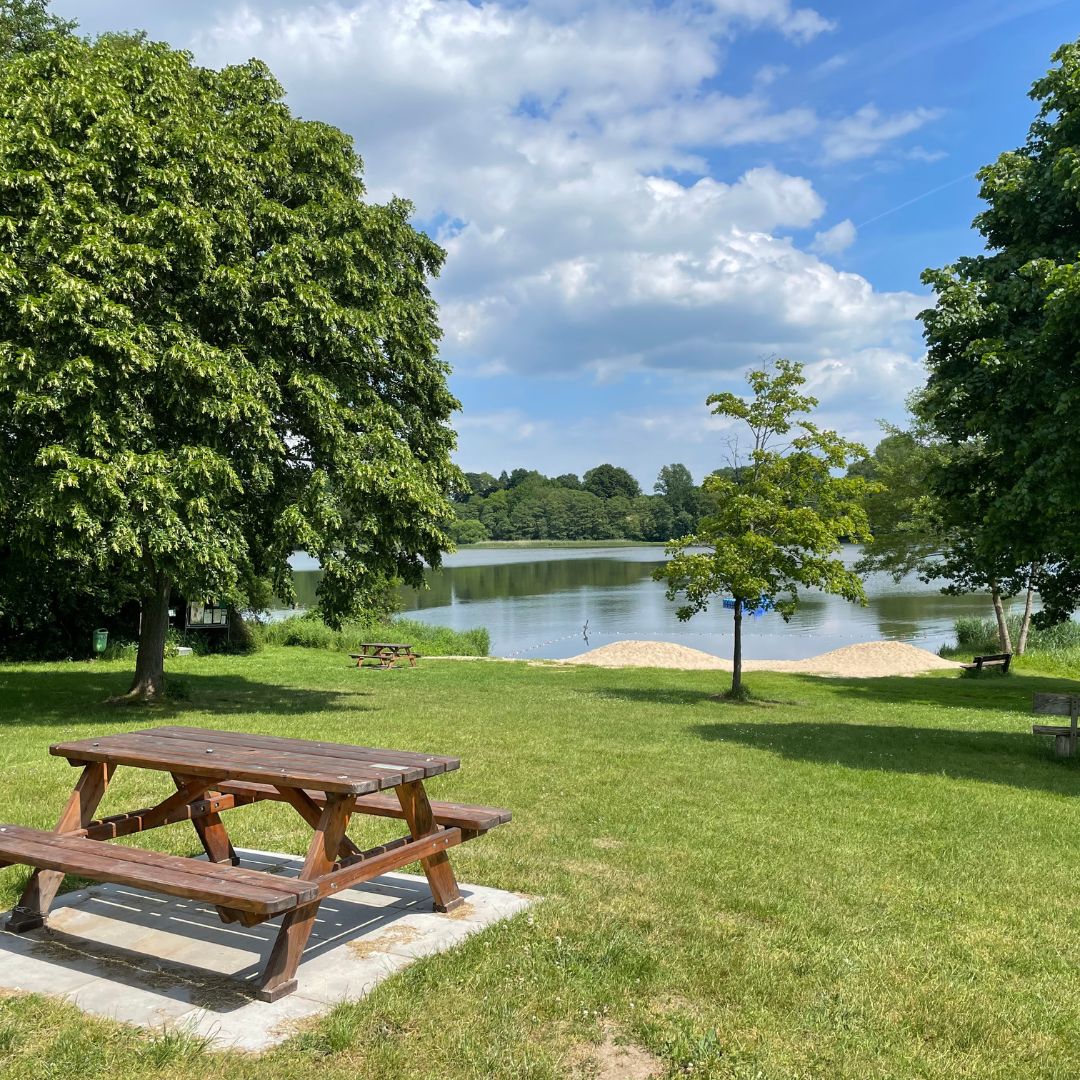 picnic bench by a lake