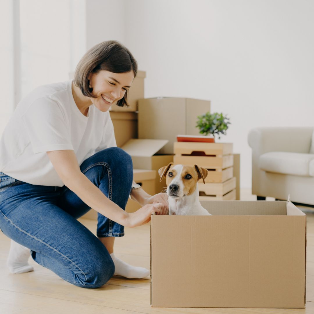 dog in a moving box with a woman