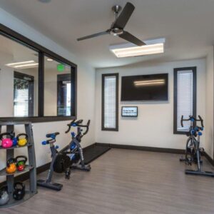 Luxury amenities like a fitness center.