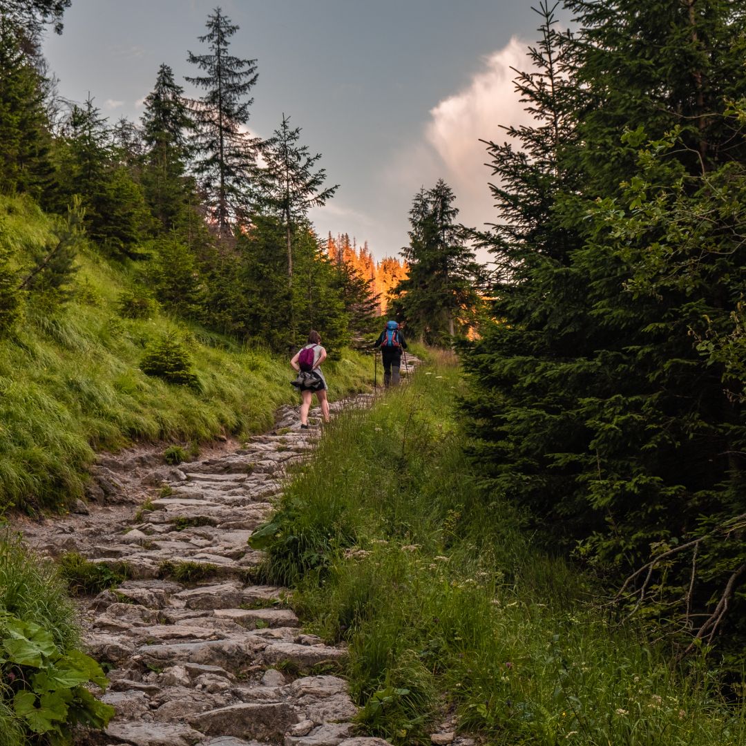 Two hikers walking on a forested stone path