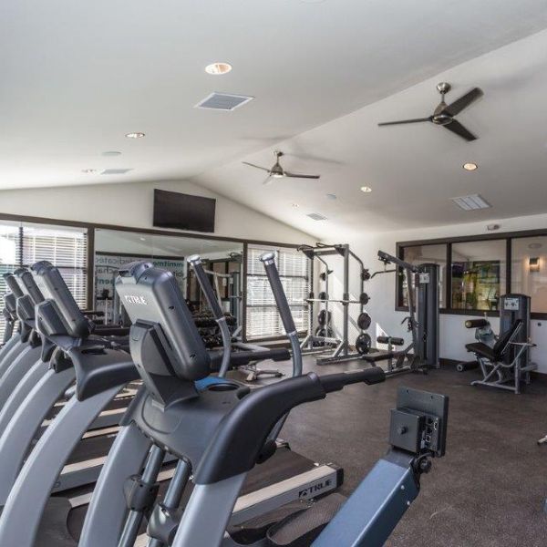 apartment with gym in brighton co