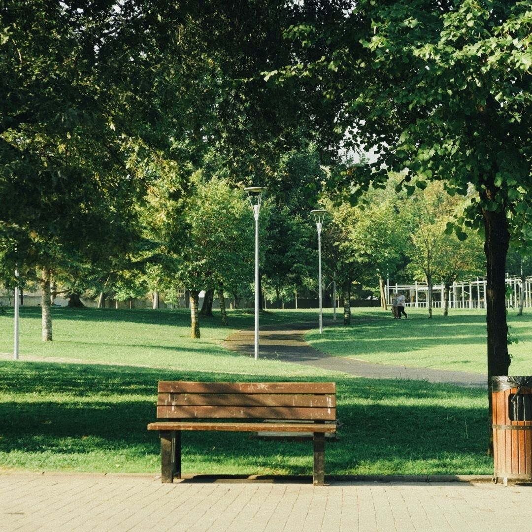 Park bench with park field and trees behind it